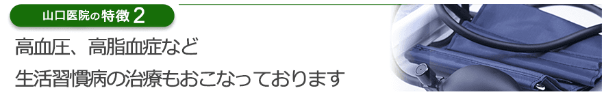 高血圧、高脂血症など生活習慣病の治療もおこなっております