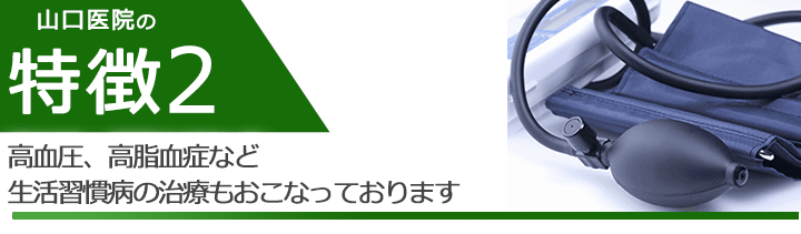 高血圧、高脂血症など生活習慣病の治療もおこなっております