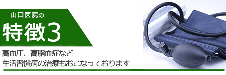 高血圧、高脂血症など生活習慣病の治療もおこなっております